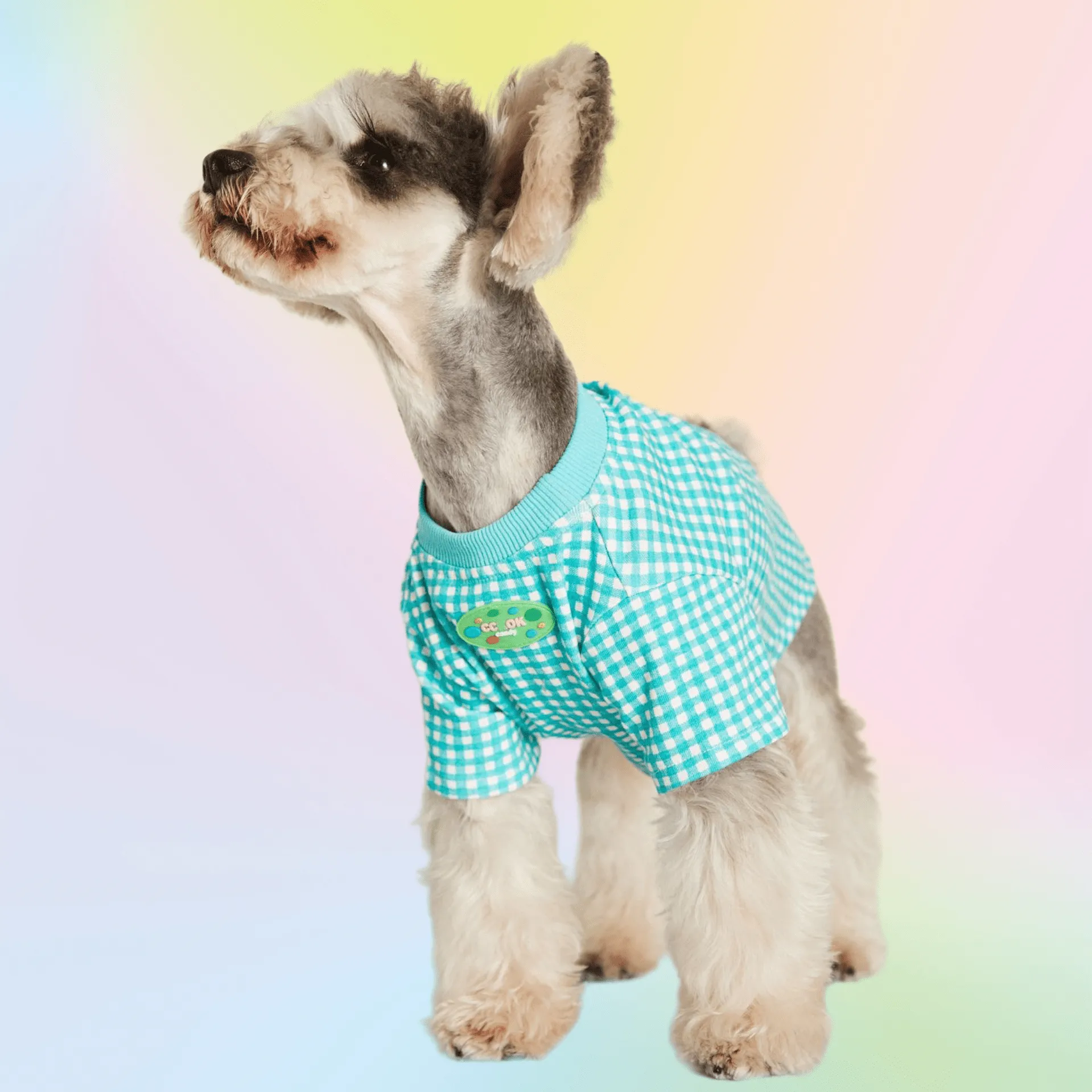 Anniepaw Macaron Plaid Pup Tee