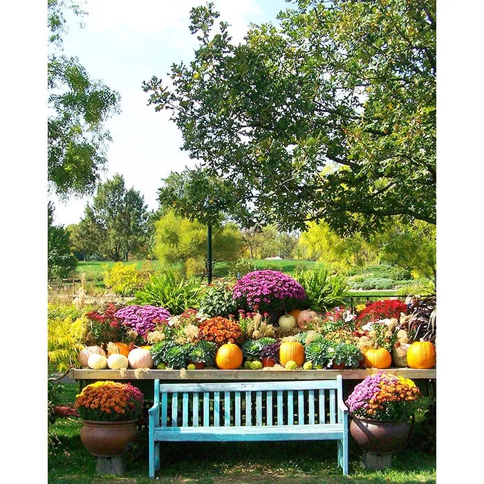 Bench-Marked Printed Backdrop