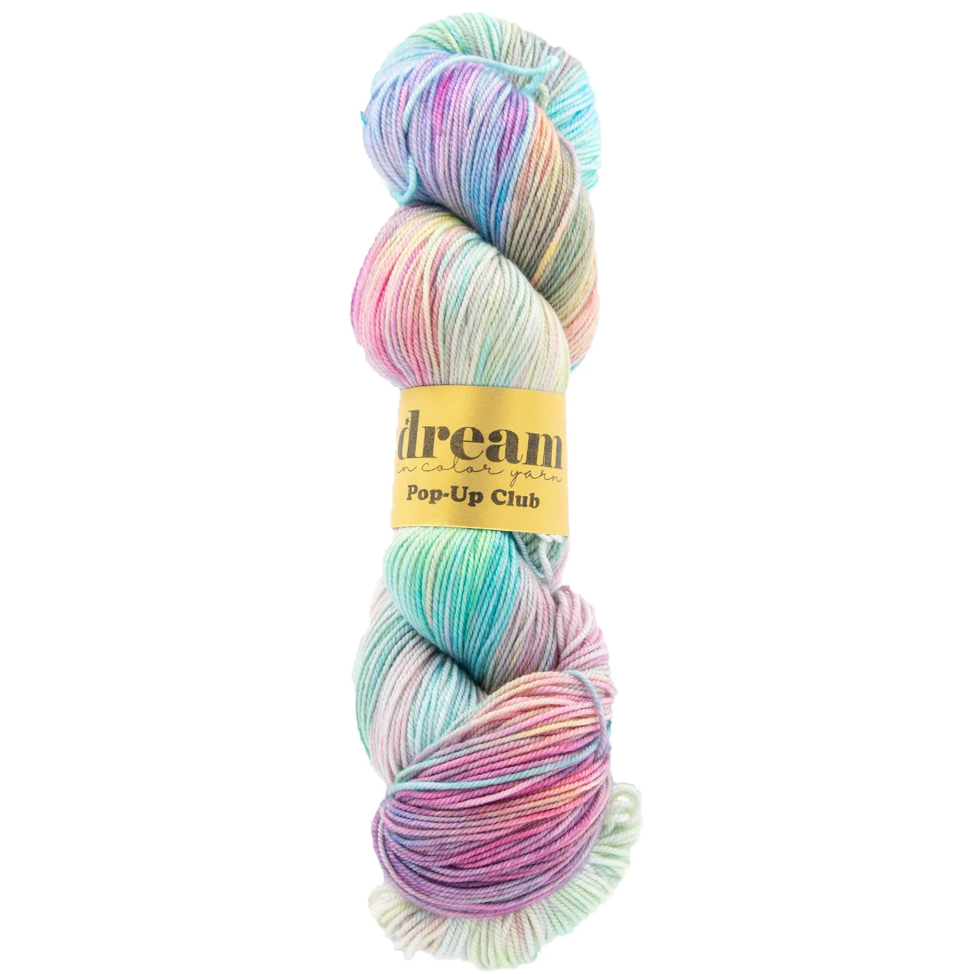 Dream in Color Smooshy Cashmere Yarn - Mystic Prism