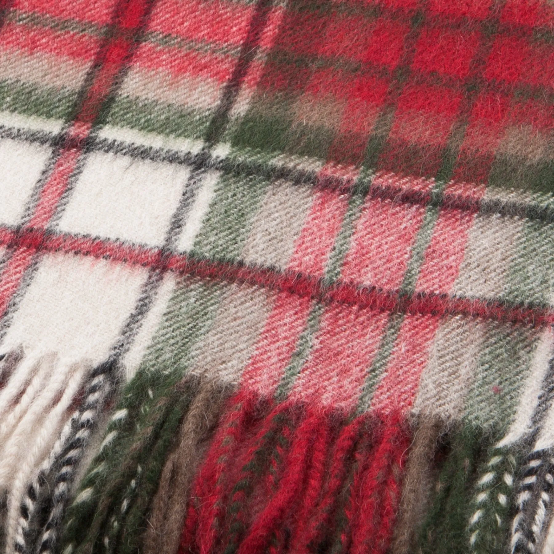 Edinburgh Cashmere Scarf  Macduff Dress