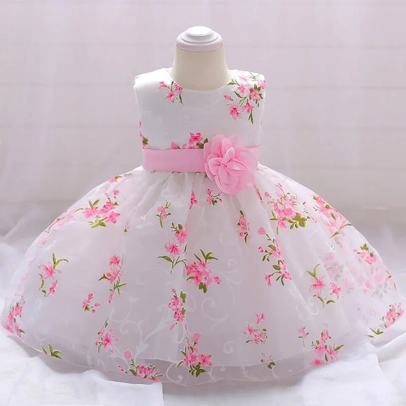 Infant Baby Girls Dress Flower Embroidery Princess Dress For Baby 1st Year Birthday