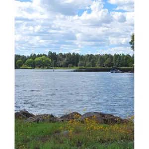 Lakeside View Printed Backdrop