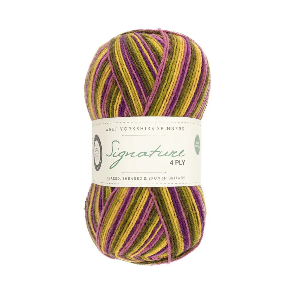 Signature 4-ply | West Yorkshire Spinners