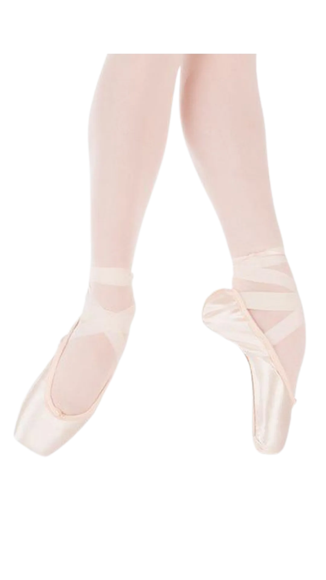 Stellar Pointe Shoe Standard Shank