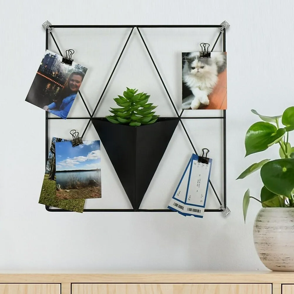 WallPops Triangle Metal Grid Wall Organizer w/ Planter - Black